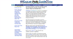 Desktop Screenshot of nysales.net